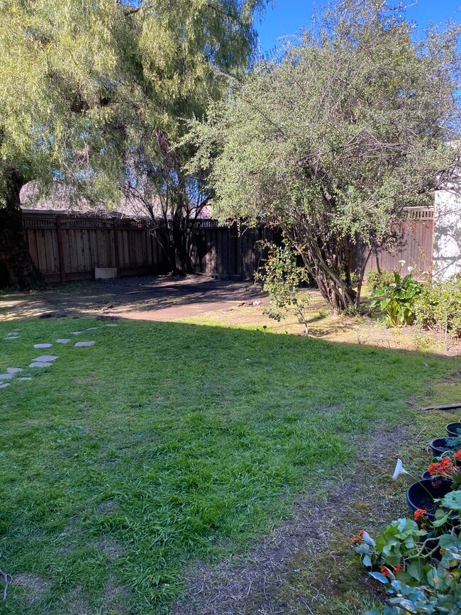 Exclusiva well maintained yards and includes gardener - 864 Myrtle St House