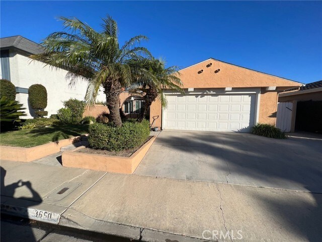 3650 Wisteria St  