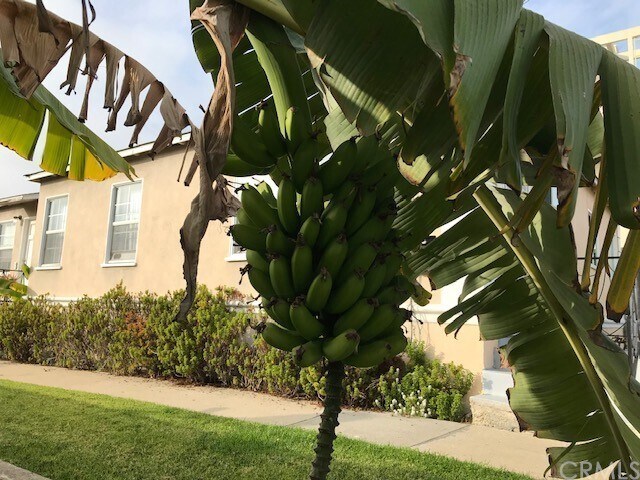 Foto del edificio - 101 W Maple Ave