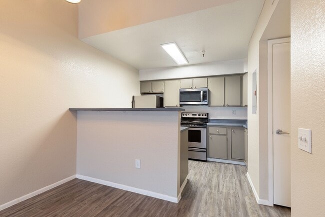 Interior Photo - Lion Tempe Apartments