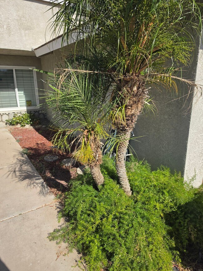 Building Photo - 668 Kesha Ct