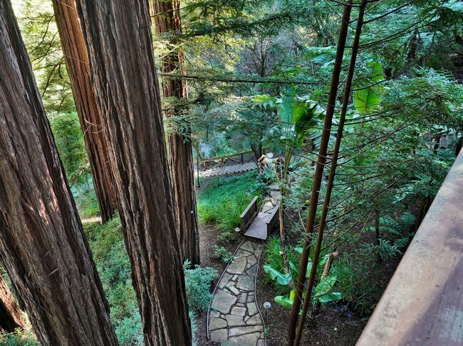 Building Photo - ENCHANTING RETREAT – A SECLUDED HAVEN IN T...