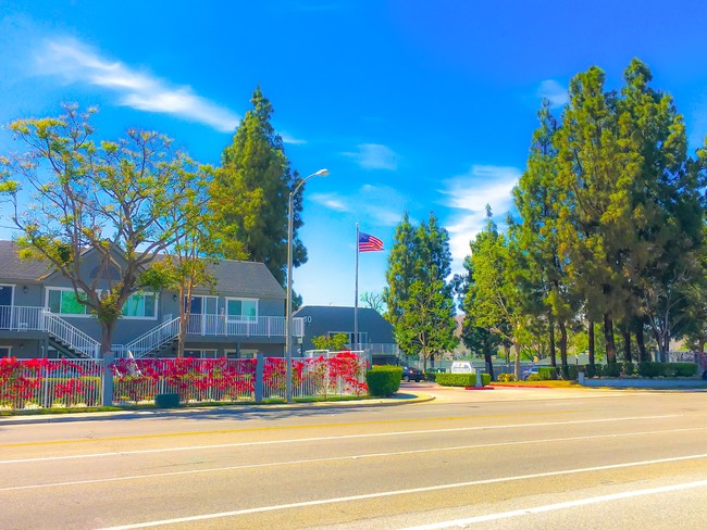 Vista a la calle - Mountain View Apartments