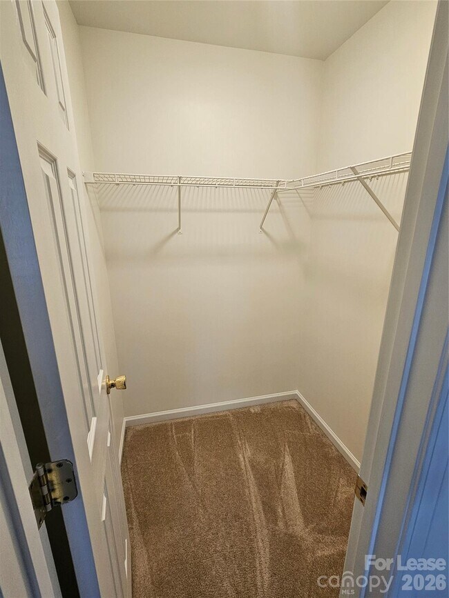 Building Photo - 2016 Cindy Creek Ln