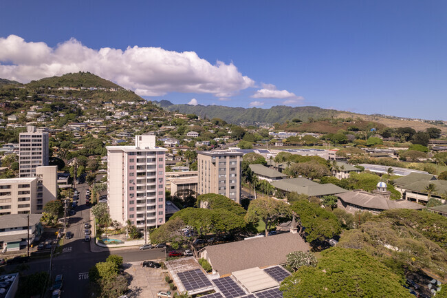 Aerial Photo - Punahou Palms