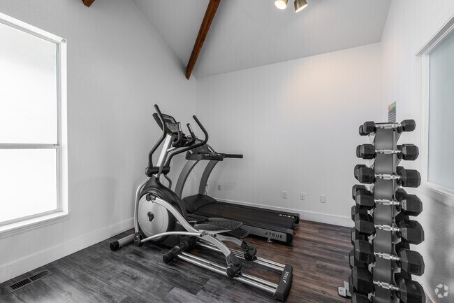Gimnasio - The Groove