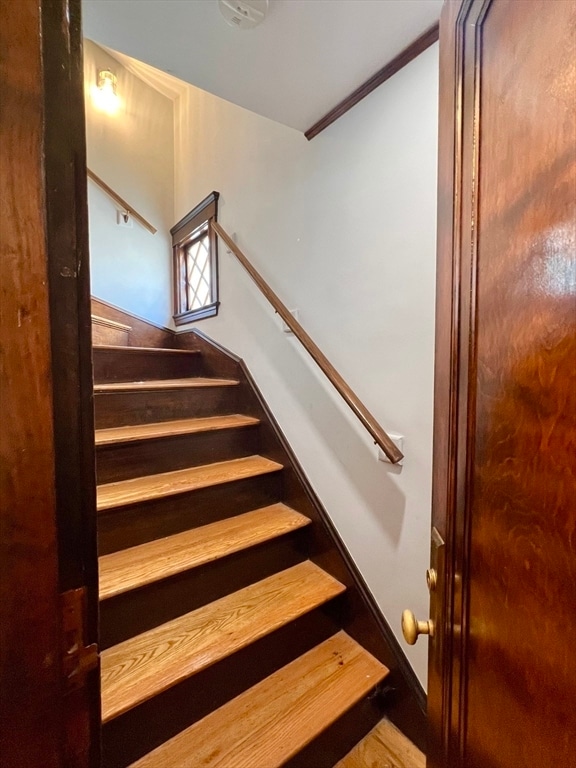 Foto del edificio - 15 Century St