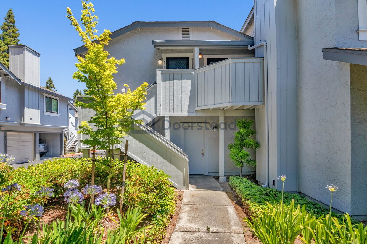 Foto principal - 474 Holly Hock Ct