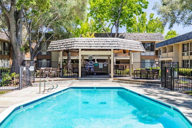 Swimming Pool - Sundale