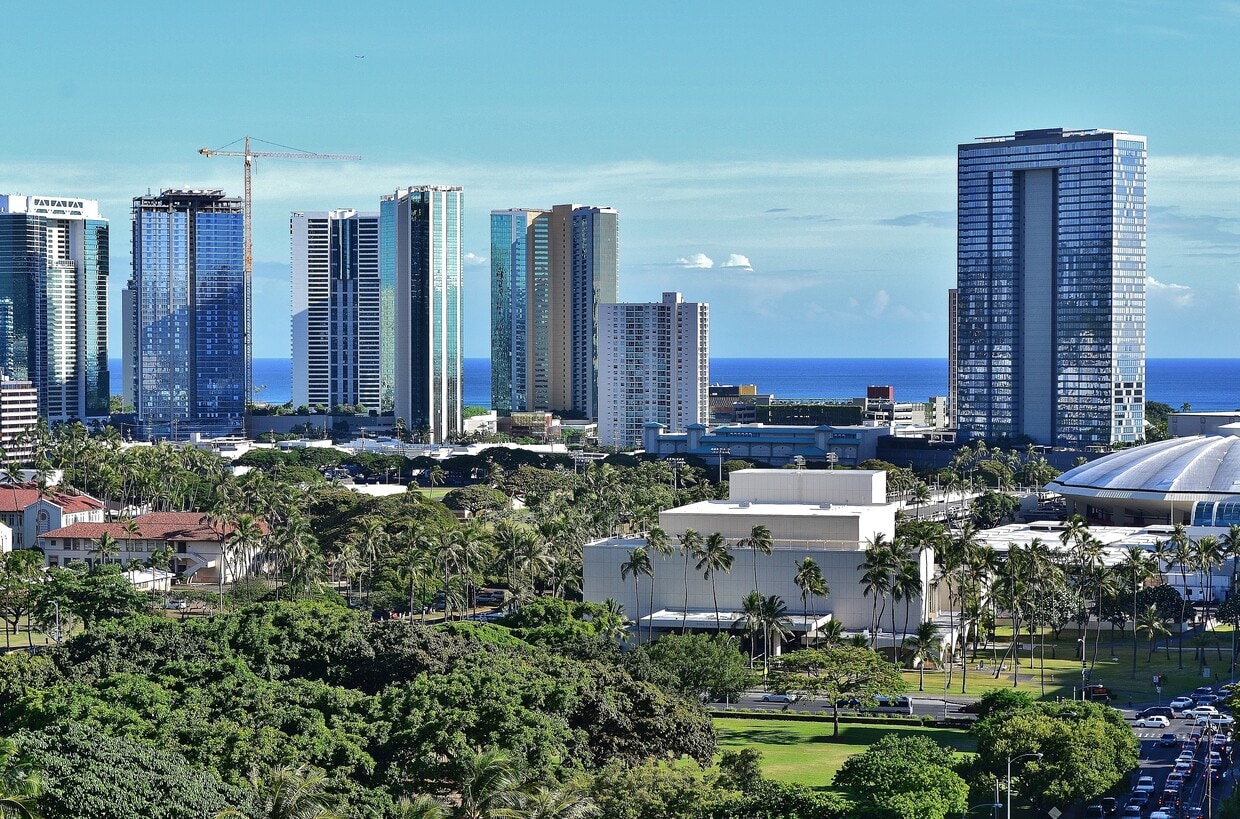 Rooftop View - 824 Kinau St