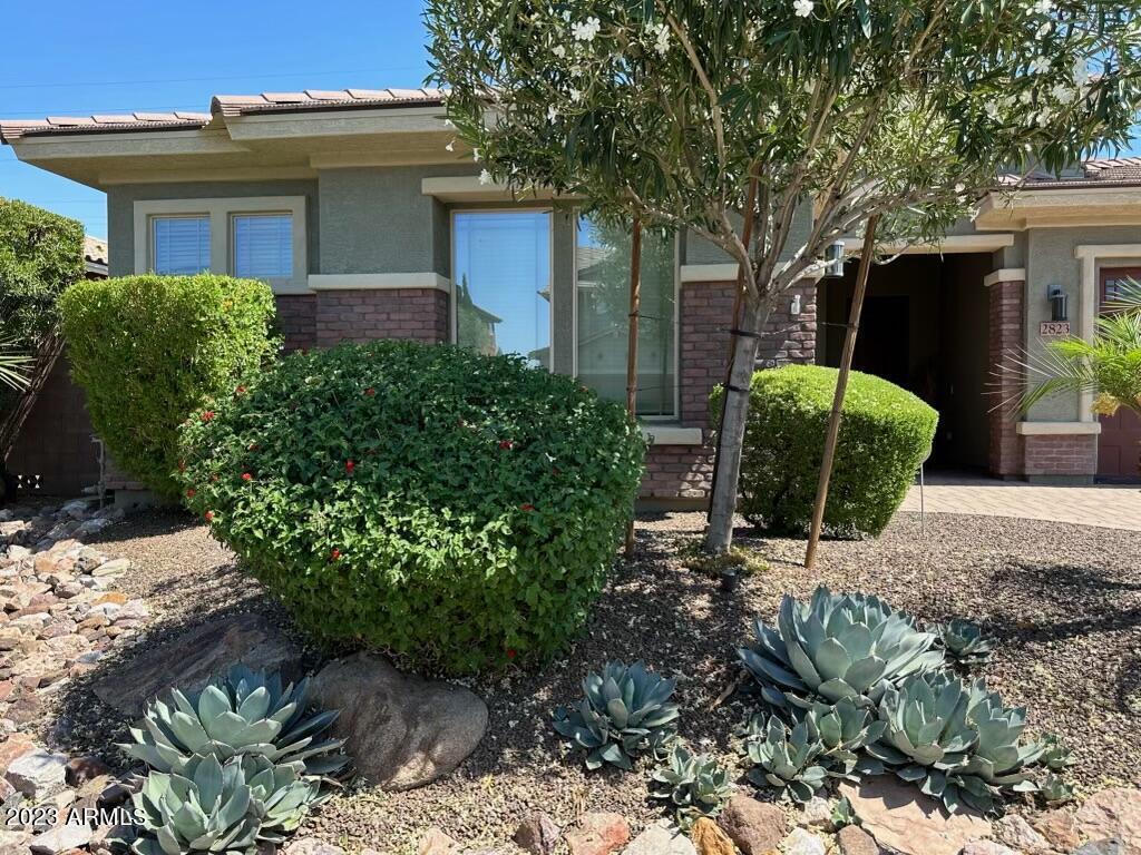Foto principal - 2823 E Odessa St