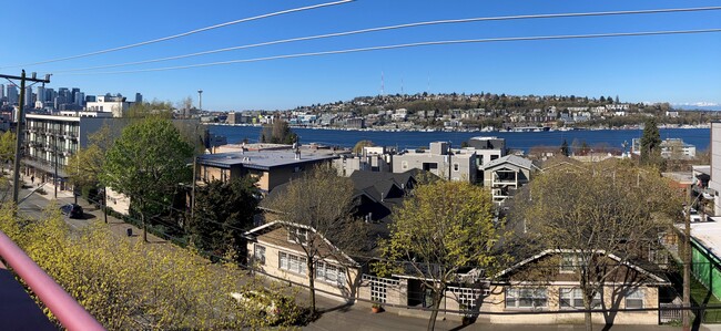 Building Photo - Vinemaple Apartments