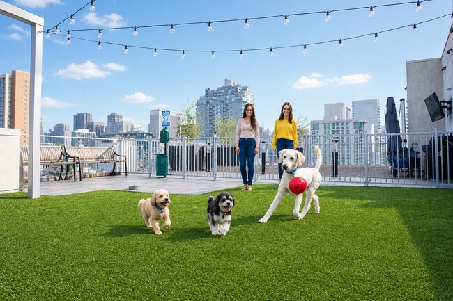 Dog park with dog bath - Vici Luxury Rentals