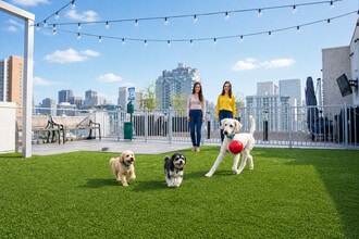 Dog park with dog bath - Vici Luxury Rentals
