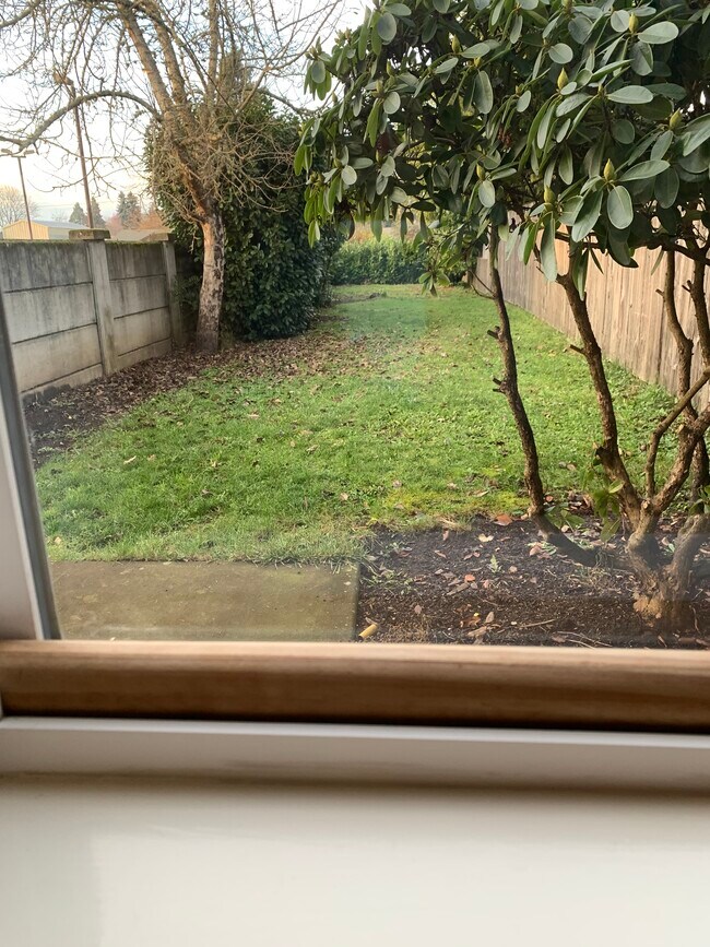 backyard - 115 E Rosewood Ave