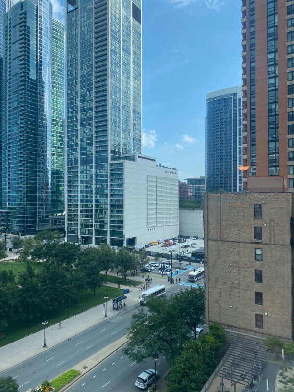 Foto del edificio - 1130 S Michigan Ave