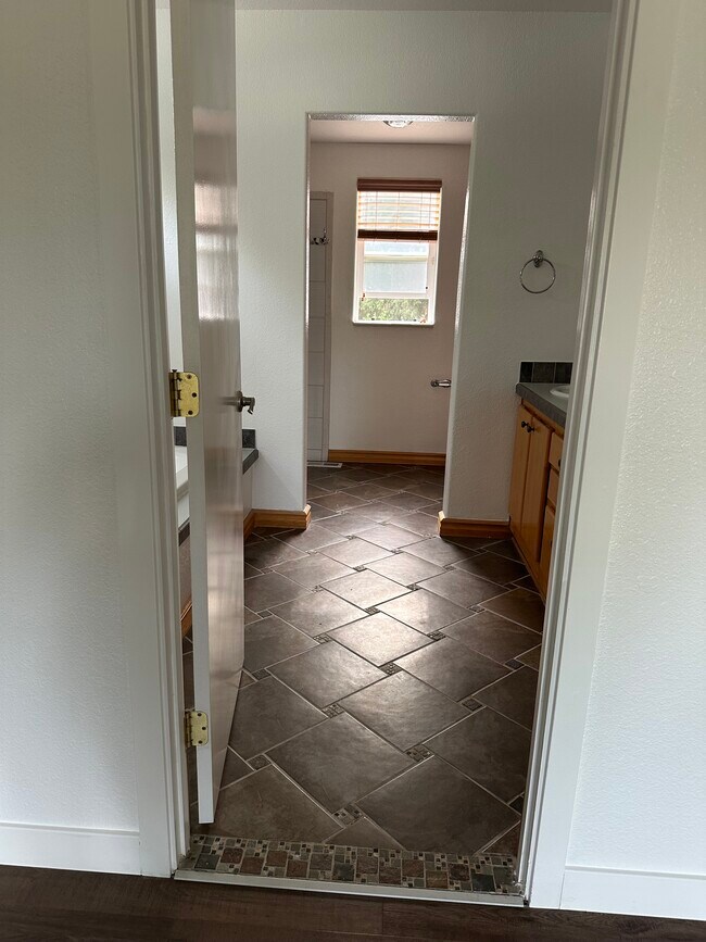 Master bathroom - 16817 188th Ave SE