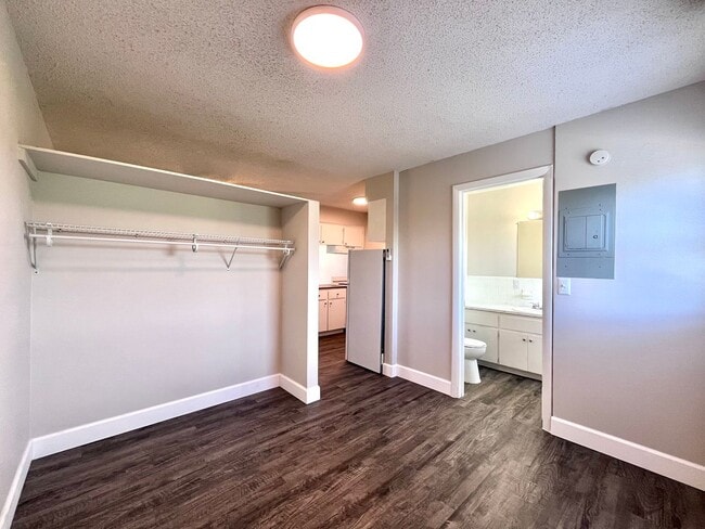 Interior Photo - Inertia