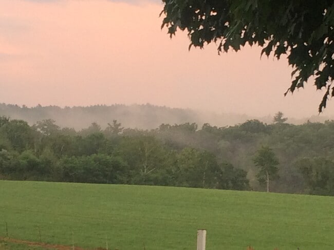 Building Photo - 61 Chesterfield Rd