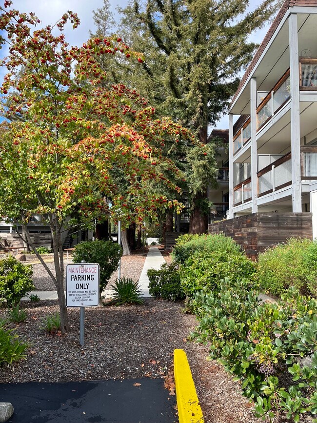 Foto del edificio - 4081 Clayton Rd