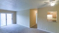 This single-floor space offers a straightforward and functional layout designed to maximize usable living area. The main living space is generously sized, featuring wall-to-wall carpeting in a neutral gray tone that provides a clean, understated foundation throughout. Walls are painted in soft, light beige and white hues, contributing to a bright and open atmosphere. A textured popcorn ceiling runs throughout, adding a classic residential character to the interior.

A standout feature of the main living area is the sliding glass door, which serves as the primary source of natural light, brightening the space and offering a connection to the outdoors. The open-plan design allows for flexible furniture arrangements and easy flow between areas.

A partial wall divides portions of the interior, creating a subtle sense of separation between living zones while maintaining an overall open feel. Additional rooms are accessible via a hallway visible from the main area. Light switch placements and multiple electrical outlets are conveniently distributed along the walls. White baseboards frame the perimeter of each room, providing a clean finishing detail throughout the space.