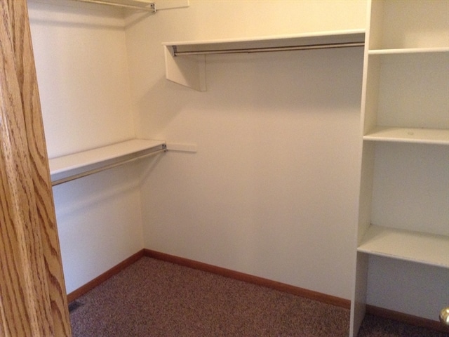 Building Photo - 3204 Birney Ct