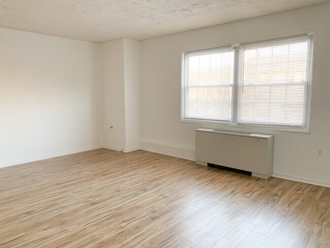 Living Area - 4507 Romlon St Apartment