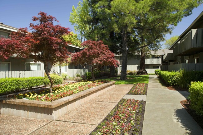 Cherrywood Apartments - Apartments in San Jose, CA | Apartments.com