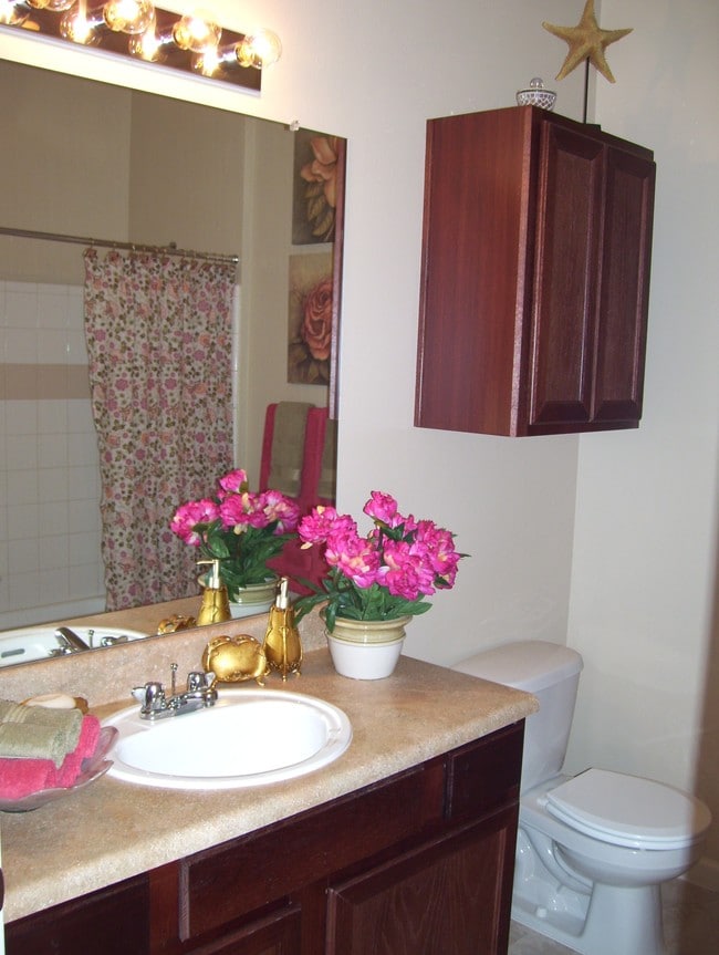 Bella Vista Rentals Gainesville, TX