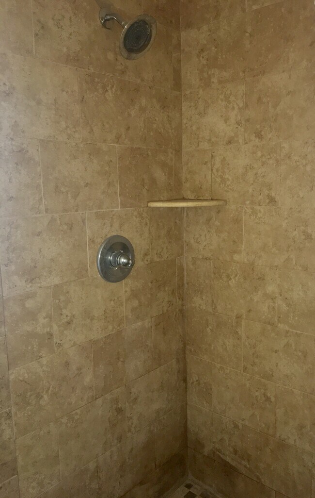 Inside Shower - 923 S 19th St