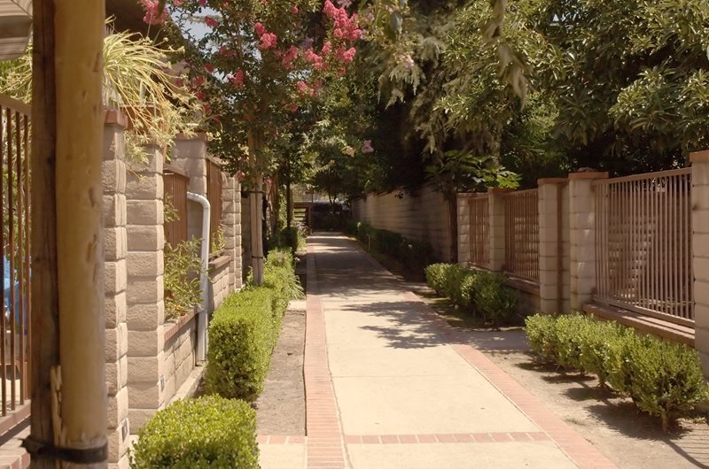 Foto del edificio - 209 Violet Ave