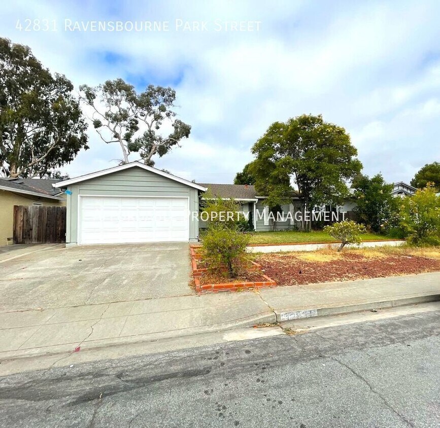 Primary Photo - 42831 Ravensbourne Park St