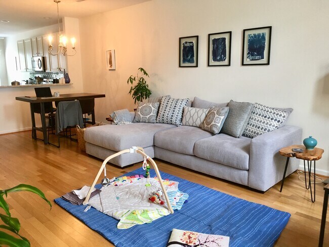 Foto del edificio - 2534 Asher View Ct