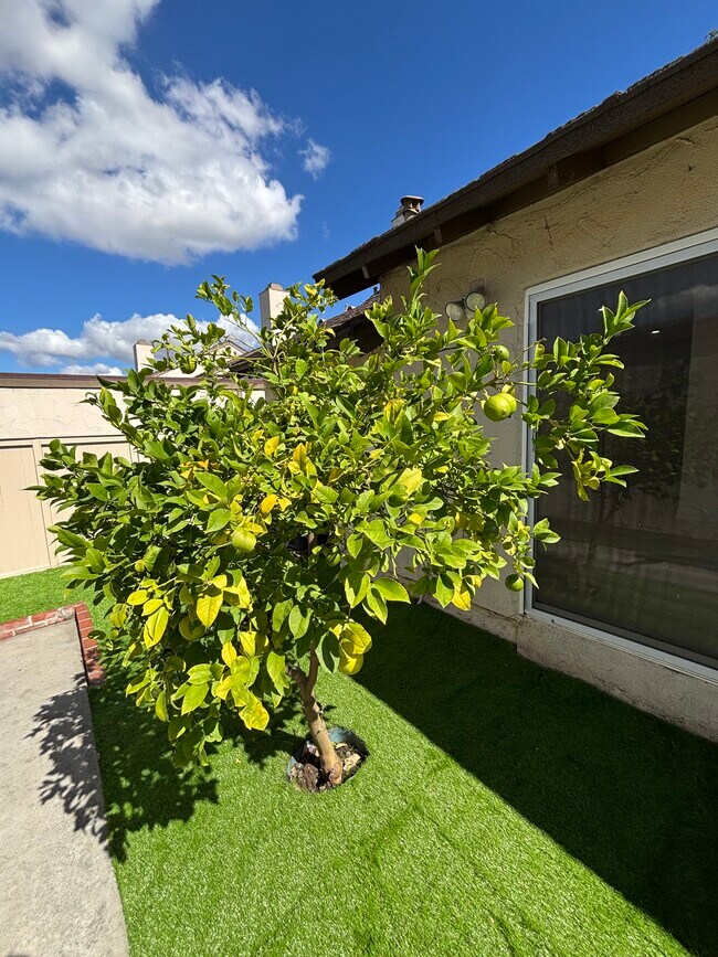 Foto del edificio - 1220 Marble Ln