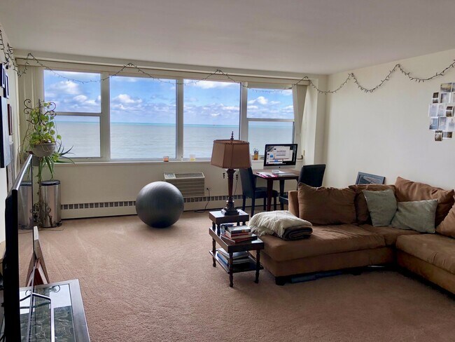 Foto del edificio - 1150 N Lake Shore Dr