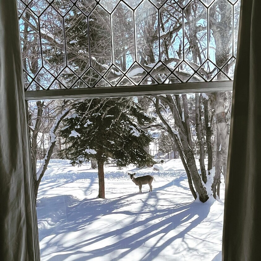 Foto principal - 603 Platt Ave S