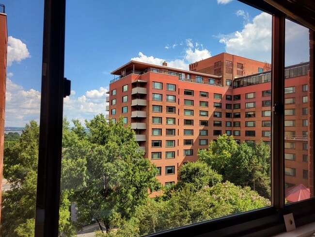 Photo - 1021 Arlington Blvd Apartment