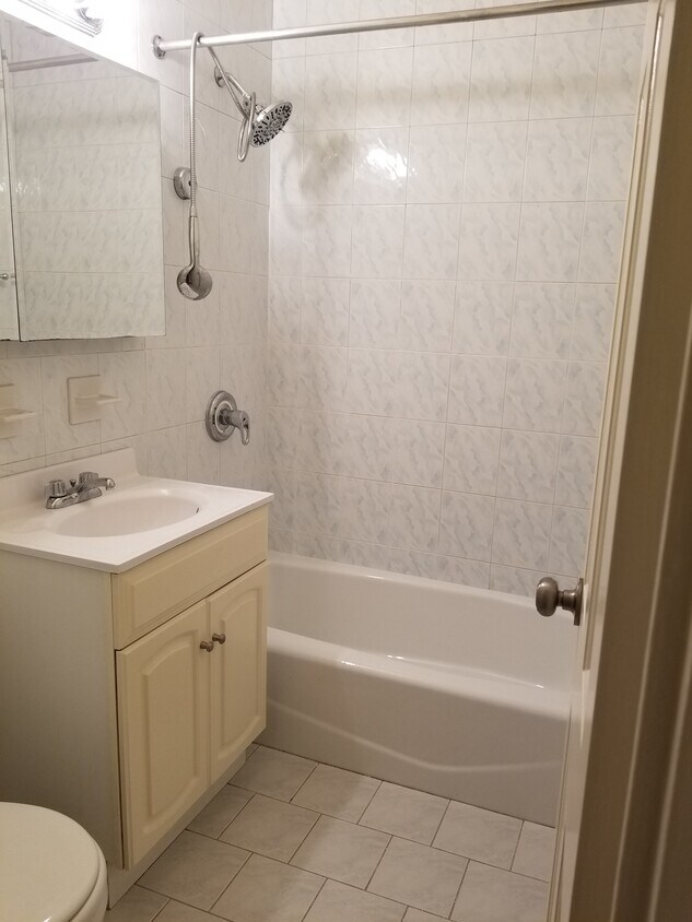 bathroom - 55 W 74th St