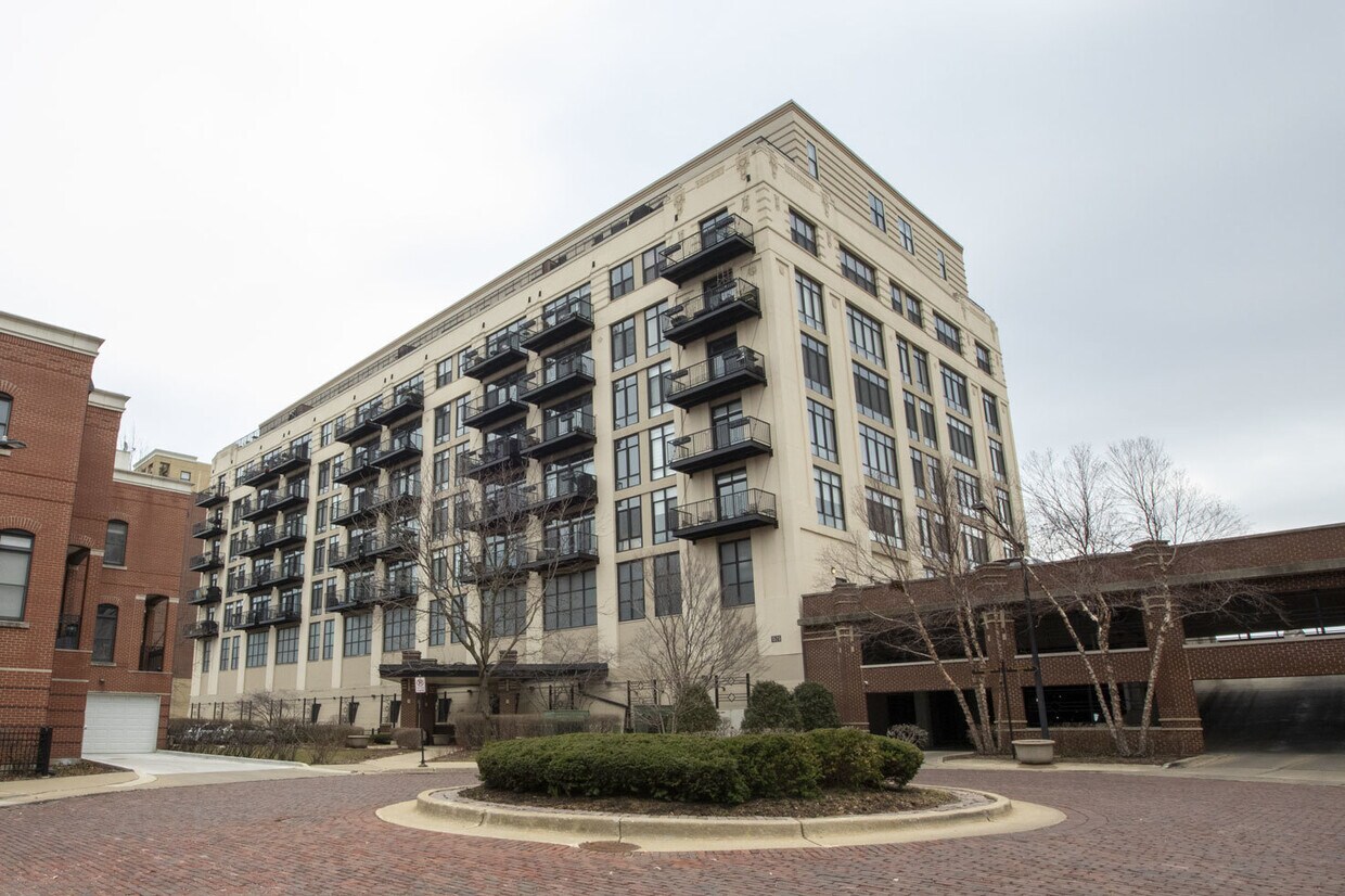 1525 S Sangamon St Unit 704, Chicago, IL 60608 Condo for Rent in