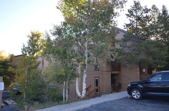 Building Photo - 213 Buffalo Dr