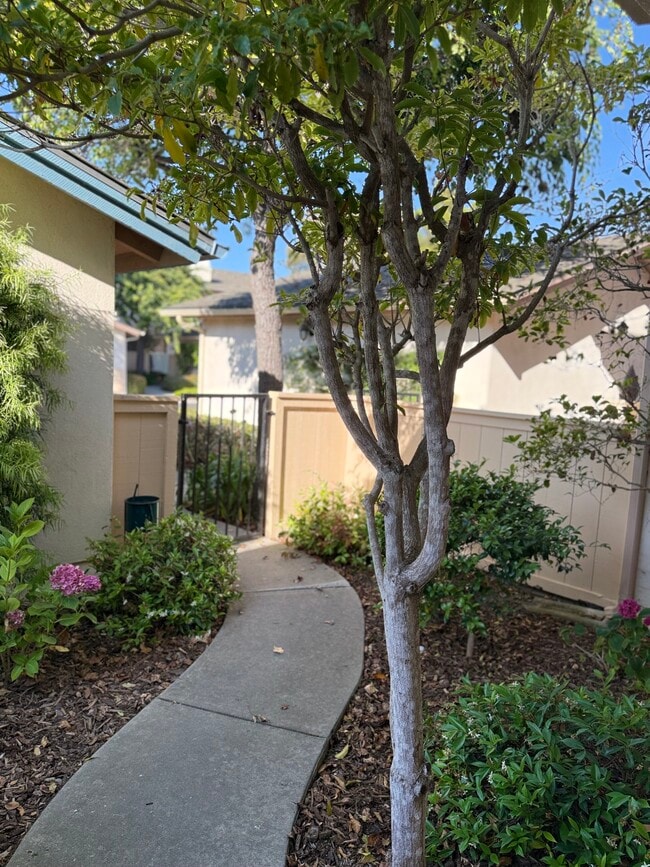 Front Garden - 7061 Marymount Way