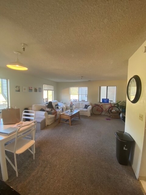 Foto del edificio - 45 Stenner St