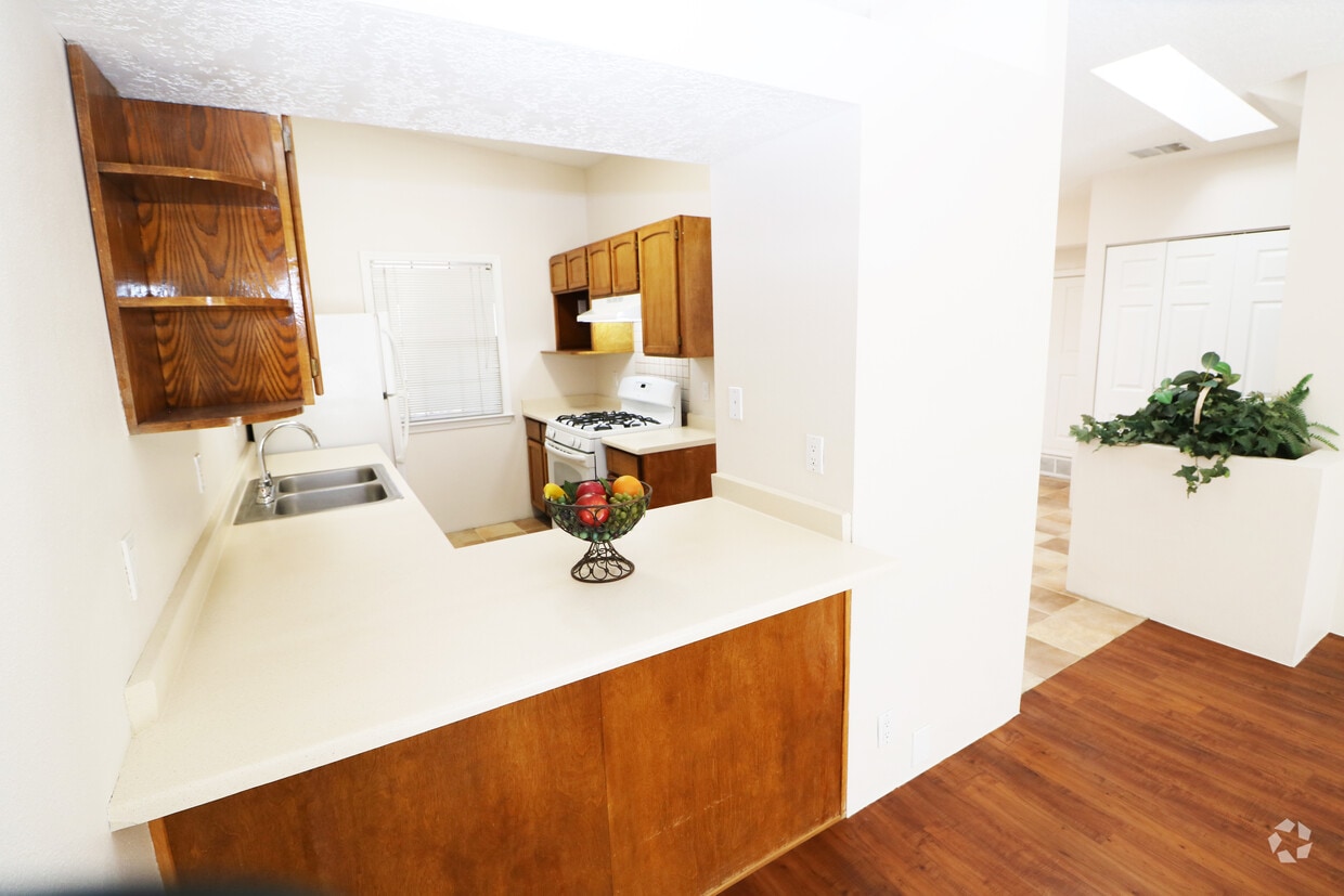 Primary Photo - 1/2 OFF FIRST MONTHS RENT - APPLICATION FE...