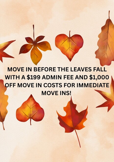 Fall Savings! - Springs of Country Woods