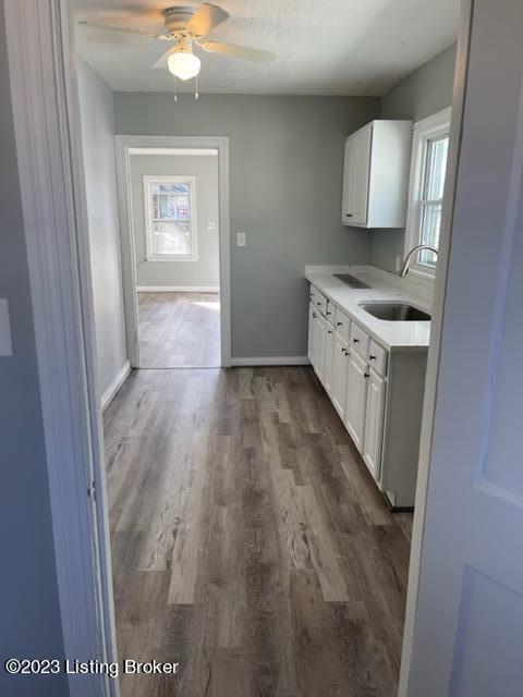 Building Photo - 831 Denmark St