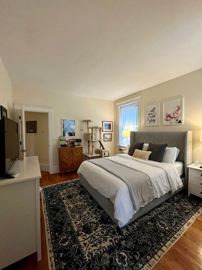 Building Photo - Central Brookline Location, Parking Includ...