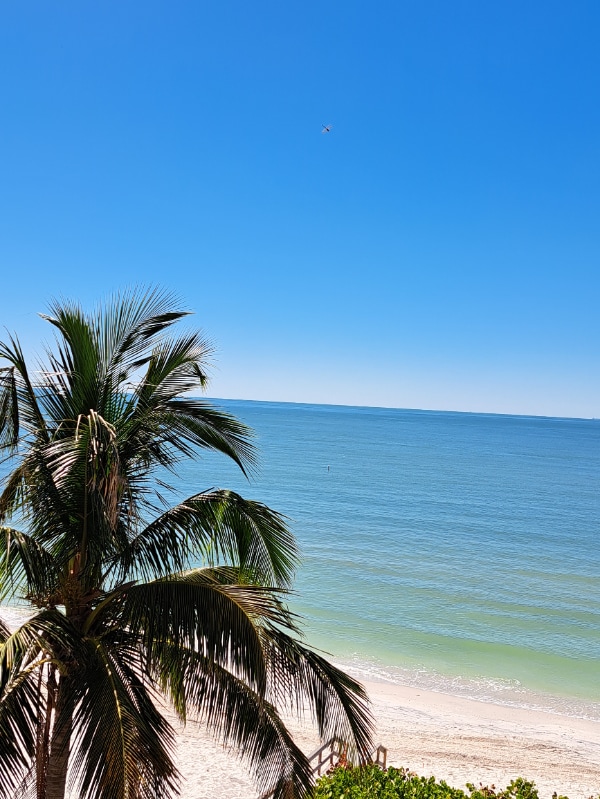 Foto del edificio - 7600 Bayshore Dr