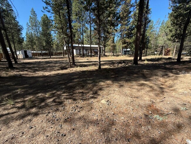 Building Photo - Newly Remodeled Home - Fully Fenced and Gated