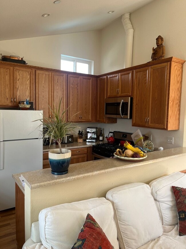 Building Photo - One bedroom near downtown Sebastopol