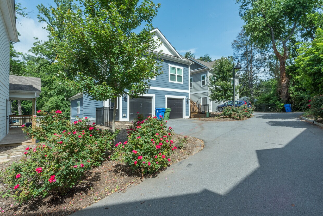 39 Conestee St, Asheville, NC 28801 Townhouse for Rent in Asheville